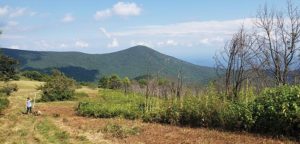 Haunted The Cole Mountain Light