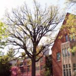 Haunted Mary Mayo Hall Michigan State University