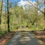 Haunted Croisan Creek Road