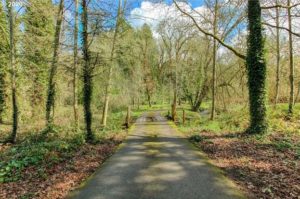 Haunted Croisan Creek Road