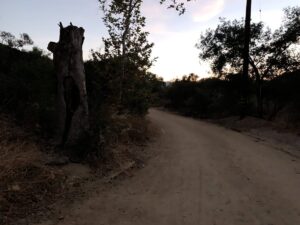 Haunted Black Star Canyon