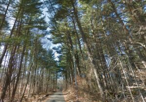 Haunted Saw Mill City Road